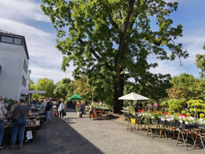 Leipziger Pflanzenmarkt im Botanischen Garten