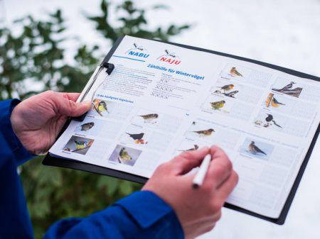 „Vögel zählen zwischen Vatertag und Muttertag“ Foto: NABU/Sebastian Hennigs