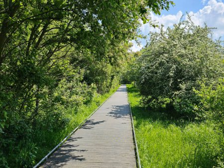 Die Wanderung führte in diesem Jahr unter anderem durch den "Grünen Bogen" Leipzig